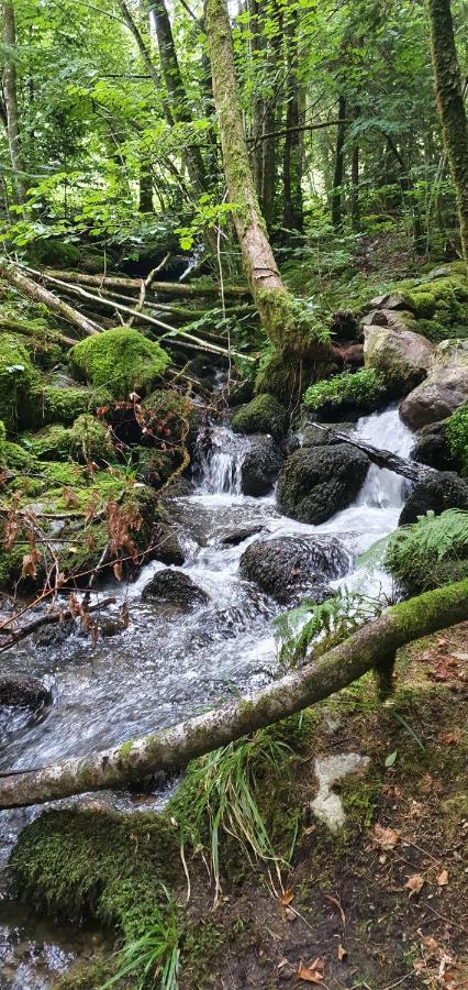 Black Forest Kuckucksnest Schönwalde Zewnętrze zdjęcie