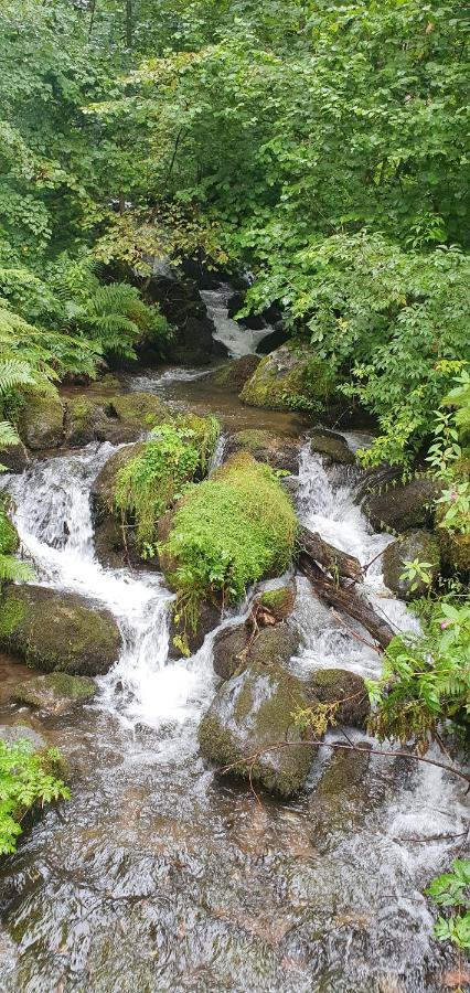 Black Forest Kuckucksnest Schönwalde Zewnętrze zdjęcie