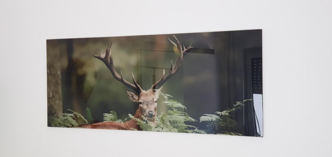 Black Forest Kuckucksnest Schönwalde Zewnętrze zdjęcie