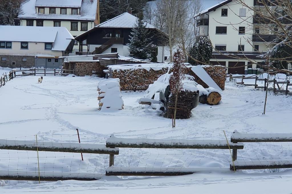 Black Forest Kuckucksnest Schönwalde Zewnętrze zdjęcie