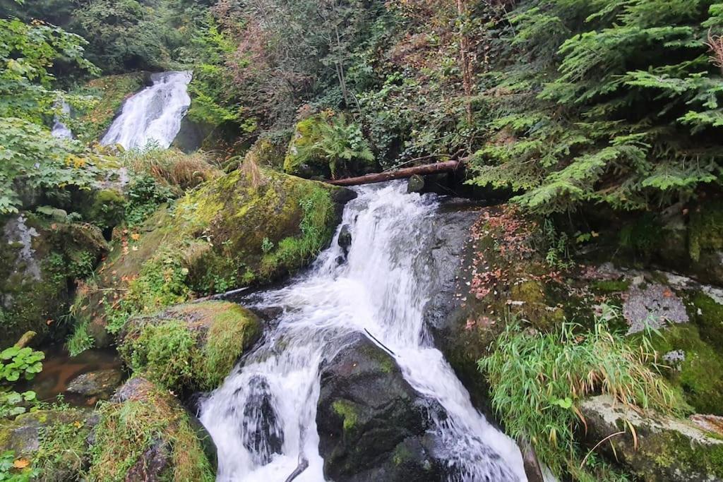 Black Forest Kuckucksnest Schönwalde Zewnętrze zdjęcie