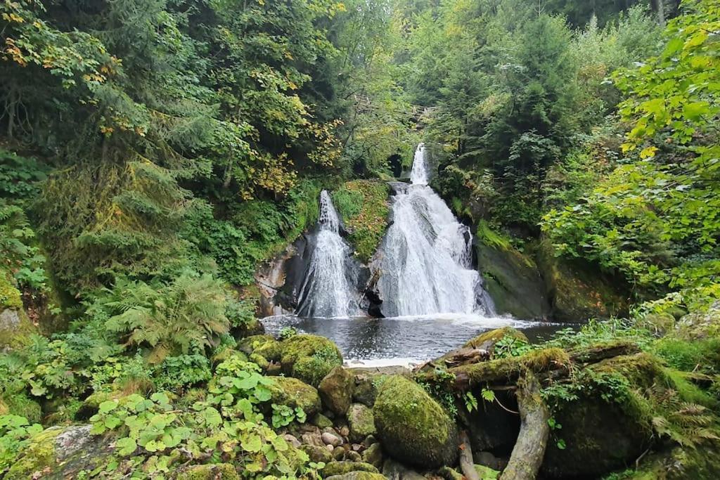 Black Forest Kuckucksnest Schönwalde Zewnętrze zdjęcie