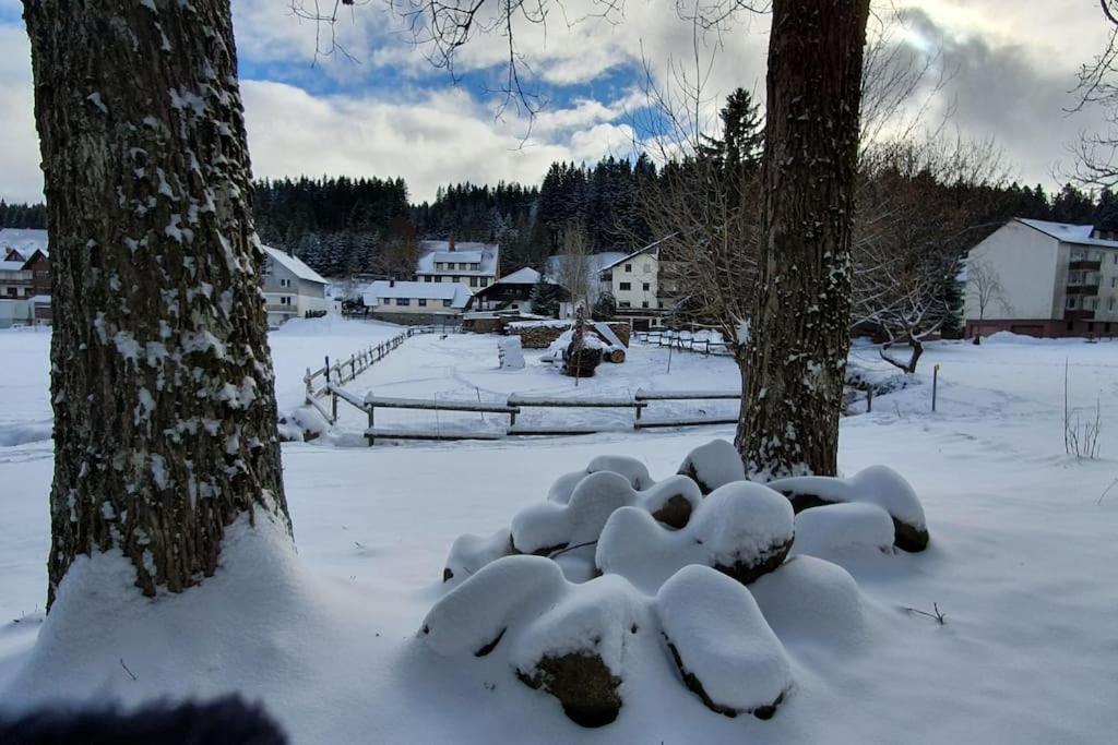 Black Forest Kuckucksnest Schönwalde Zewnętrze zdjęcie